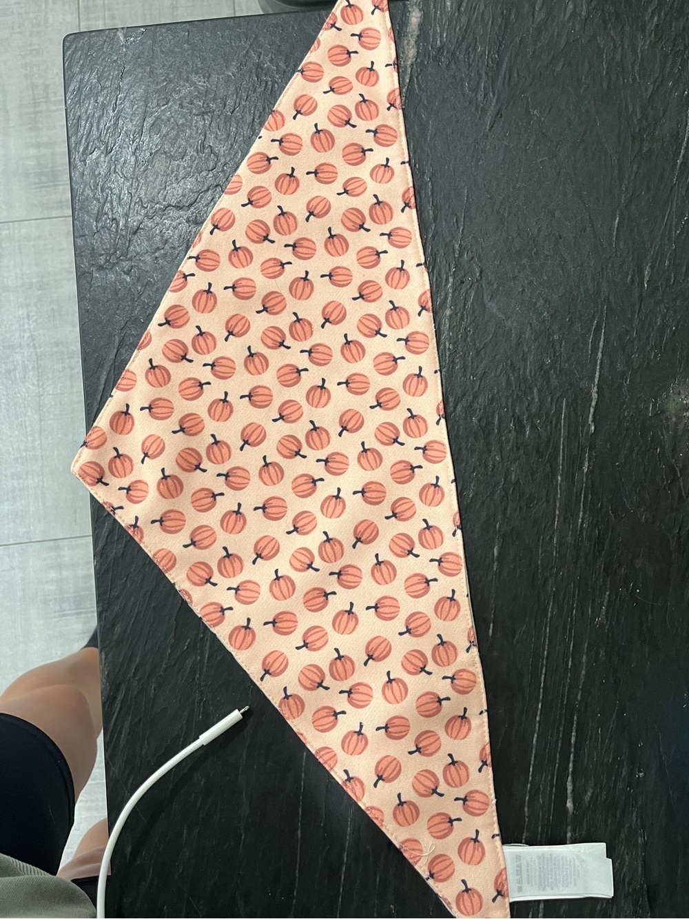 Reversible fall pumpkin printed dog bandana
